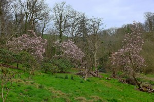 MAGNOLIA DISPLAYS original