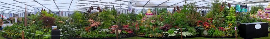 Burncoose Nurseries 2015 Gold Chelsea Stand