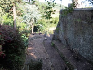 Lower Rockery