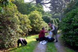 Gathering cuttings for Burncoose today