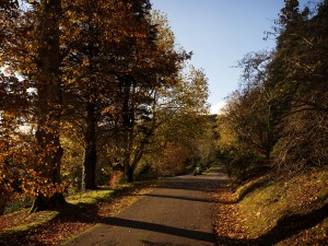 collage of autumn colour pictures