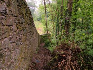 Work on the old kennels