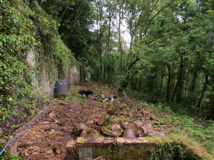 Work on the old kennels