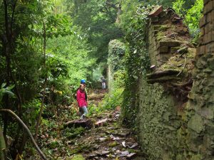 Work on the old kennels