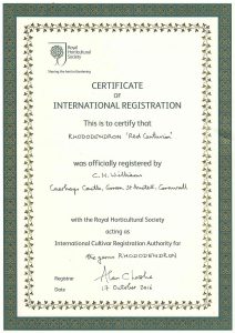registration certificate