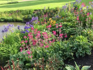 Daphne’s Northumbrian garden