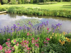 Daphne’s Northumbrian garden