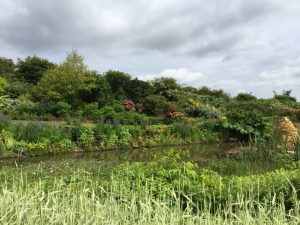Daphne’s Northumbrian garden