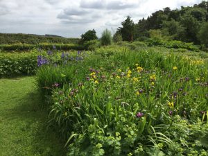 Daphne’s Northumbrian garden