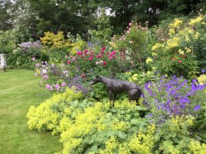 Daphne’s Northumbrian garden