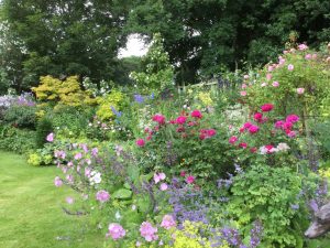 Daphne’s Northumbrian garden