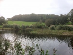 grass cutting on the islands