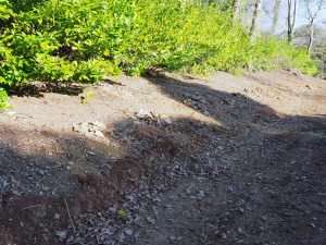 Stones raked off the new Isla Rose Plantation