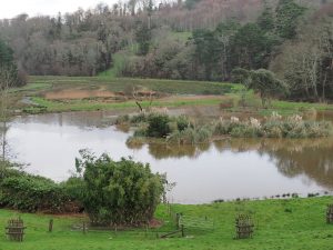 moors (water meadows) are heavily flooded