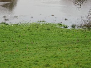 moors (water meadows) are heavily flooded
