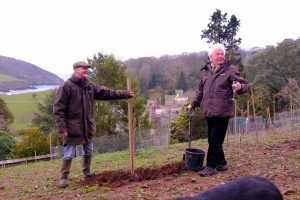 Roy Lancaster and Jaimie Parsons ceremonially plant Magnolia ‘Caerhays Splendour’
