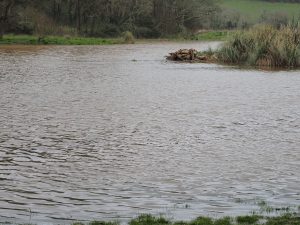 water meadows are flooded
