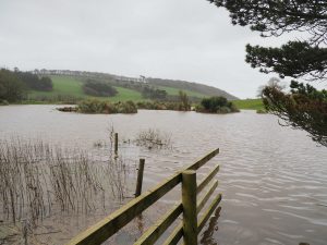 water meadows are flooded