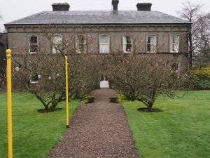 Ballyvolane House