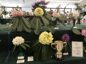 entries at the Rosemoor Show