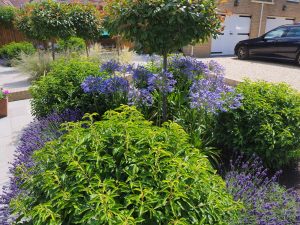 garden at Seagrove House