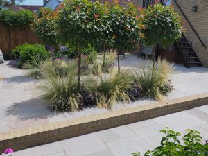 garden at Seagrove House