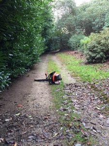 Leaf blowing