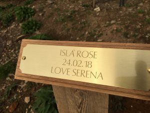Serena’s plaque