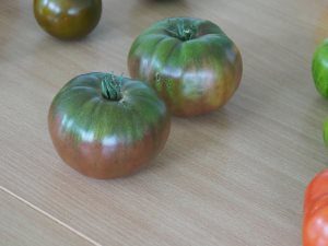 tomato grower
