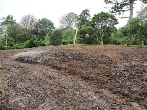 new clearing beyond Higher Quarry Nursery