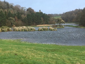 water meadows and lake