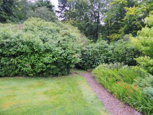 garden near Wolsingham