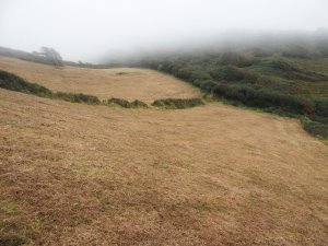 Tregavarras cliff fields