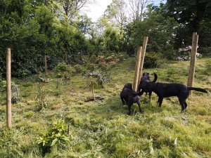 Higher Quarry Nursery