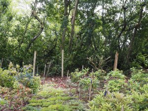 Higher Quarry Nursery