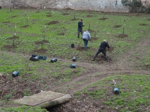 Planting progresses