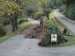 Leaf blowing