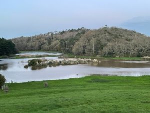 Swollen pond