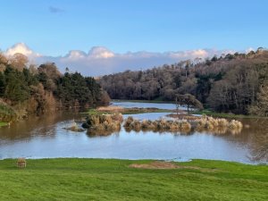 flooded water meadows