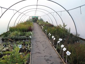 The 6 main tunnels in the walled garden