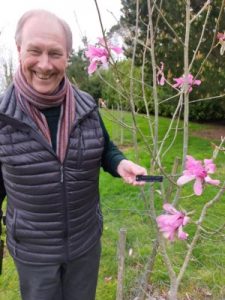 Jim Gardiner with Magnolia sprengeri ‘Dusky Pink’