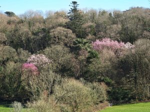 view across to the drive