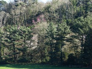 view across to the drive