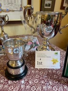 the two Caerhays CGS cups together