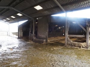 visit to a tenanted dairy farm