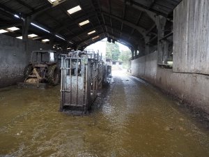 visit to a tenanted dairy farm