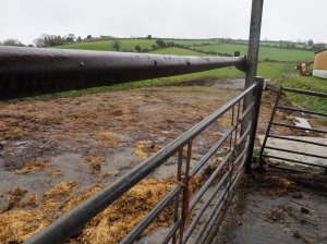 visit to a tenanted dairy farm