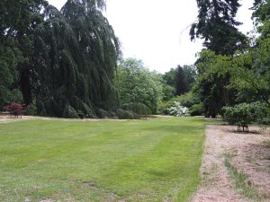 Arboretum at Batsford