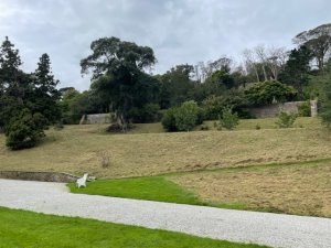 wildflower seeds on the banks