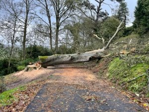 The clear up from Storm Ciaran